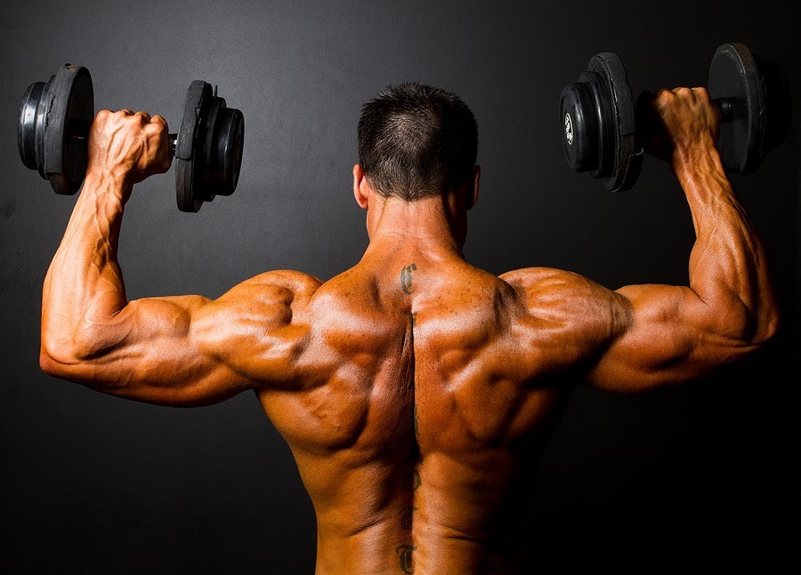 Best Testosterone Booster: Top Male Supplements 2022